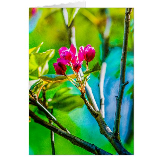 Blossom Inside Cards (Front)