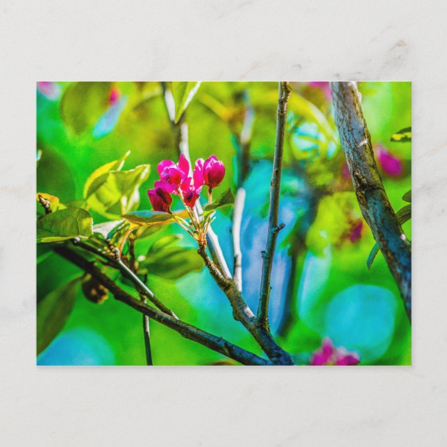 Blossom Inside Postcard (Front)