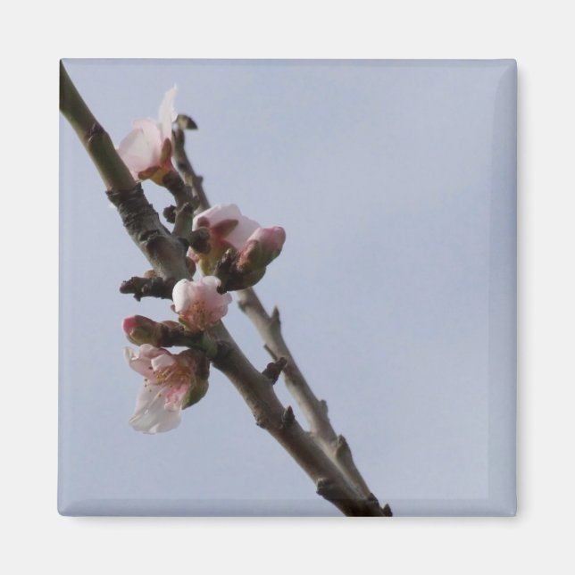 Blossom Magnet (Front)