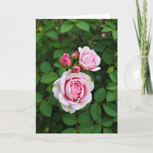 Blossom Mothers Day Close Up Card