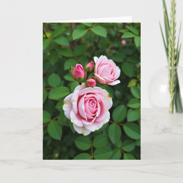 Blossom Mothers Day Close Up Card (Front)