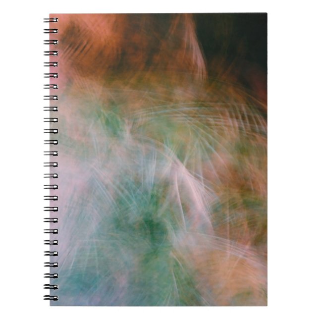 Blossom Notebook (Front)