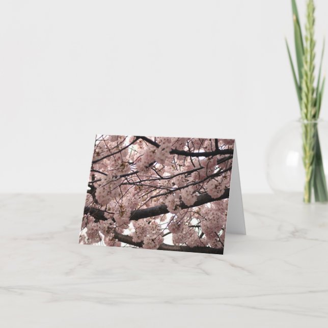 Blossom Notecards (Front)