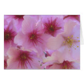 Blossom of Love (Front Horizontal)