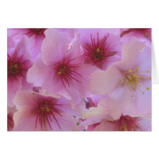 Blossom of Love Cards (Front Horizontal)