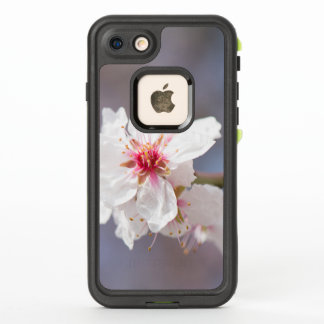 Blossom of the almond tree