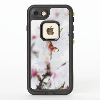 Blossom of the almond tree