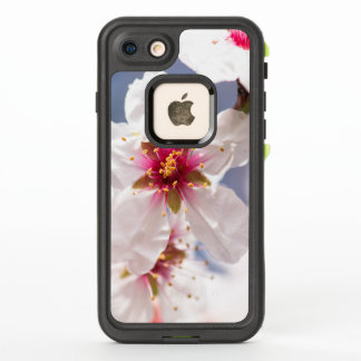 Blossom of the almond tree
