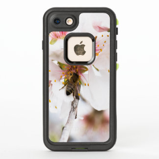 Blossom of the almond tree