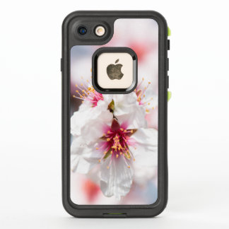 Blossom of the almond tree