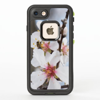 Blossom of the almond tree