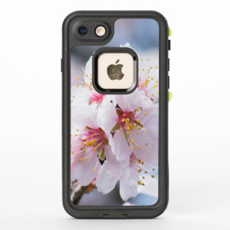 Blossom of the almond tree