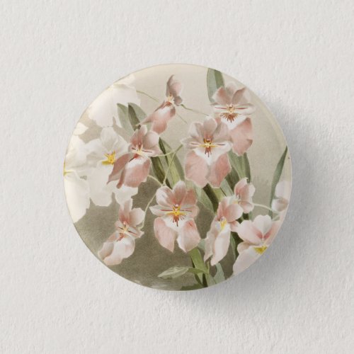 Blossom Orchids Vintage Art Painting Button