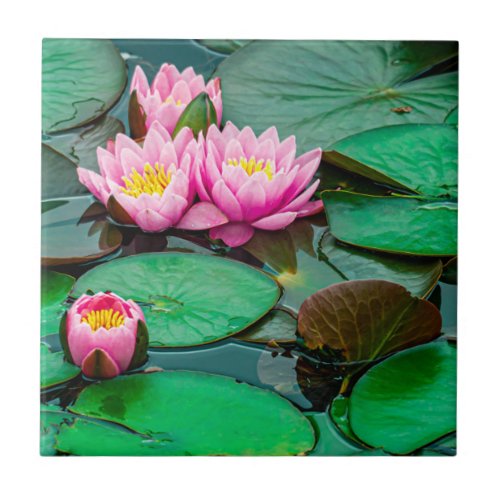Blossom pink lotus ceramic tile