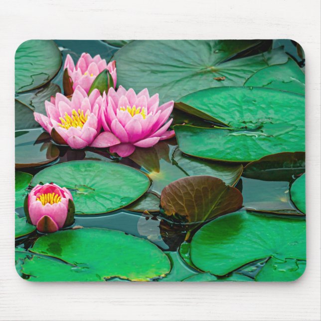 Blossom pink lotus on the lake Mousepad (Front)