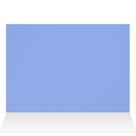 Blossom, Raccoon Matriarch at WBY. (Inside Horizontal (Top))