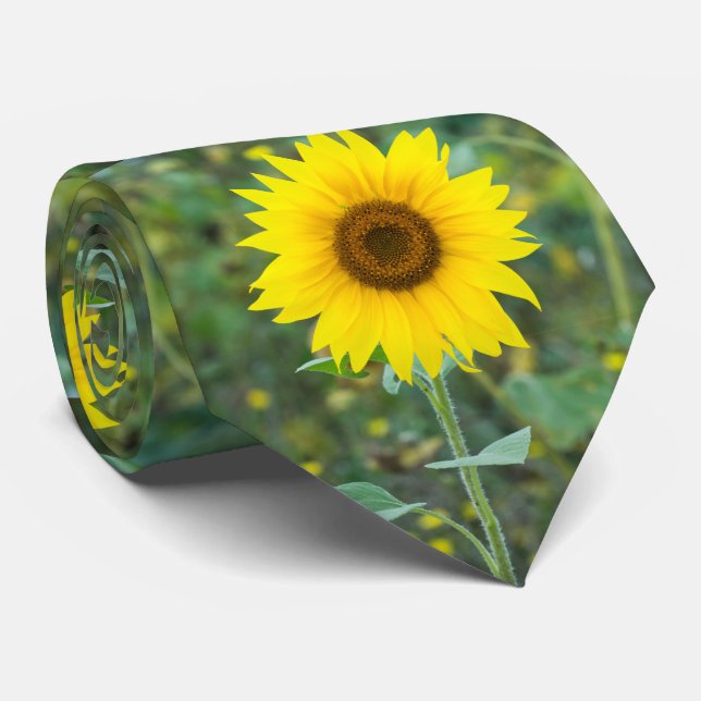 Blossom Sunflower Wildflower Tie (Rolled)