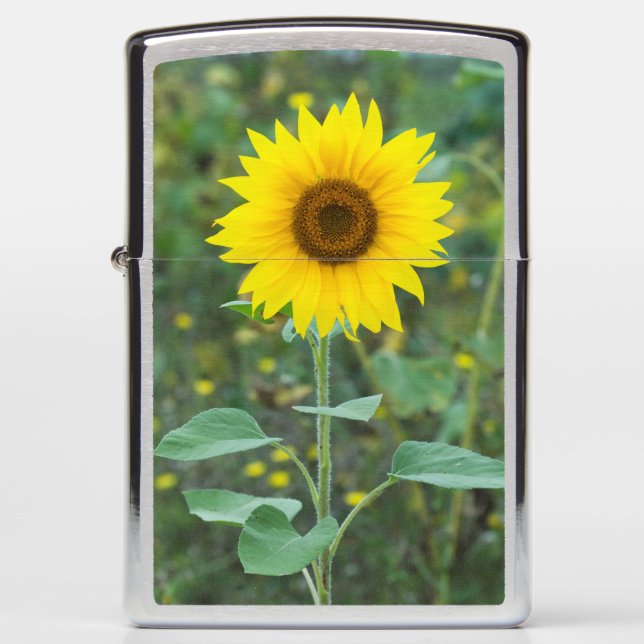 Blossom Sunflower Wildflower Zippo Lighter (Front)