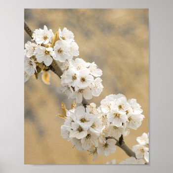 Blossom Symphony Natures Overture Poster by nikkilynndesign at Zazzle