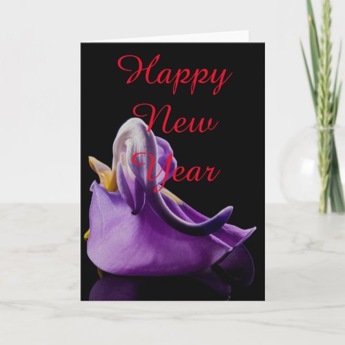 Blossom Violet Flower Happy New Year Christmas Holiday Card