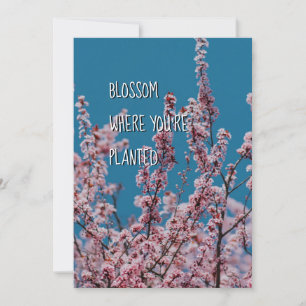 BLOSSOM WHERE PLANTED Christian Encouragement