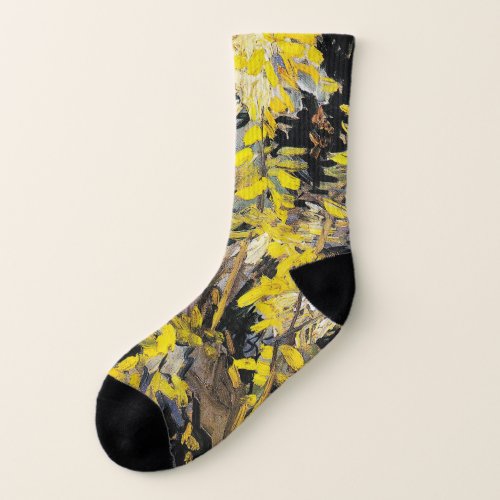 Blossoming Acacia Branches 1890 Vincent Van Gogh Socks