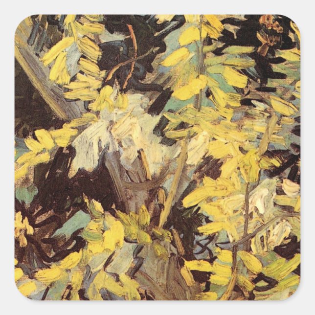Blossoming Acacia Branches by Vincent van Gogh Square Sticker (Front)