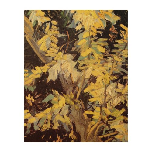 Blossoming Acacia Branches by Vincent van Gogh Wood Wall Art