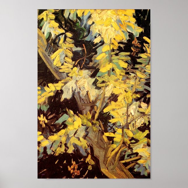 Blossoming Acacia Branches Van Gogh Fine Art Poster (Front)