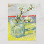 Blossoming Almond Branch by Vincent van Gogh Postcard<br><div class="desc">Blossoming Almond Branch in a Glass by Vincent van Gogh is a vintage fine art post impressionism still life floral painting featuring blooming spring almond tree branches in a glass vase. About the artist: Vincent Willem van Gogh (1853 -1890) was one of the most famous Post Impressionist painters of his...</div>