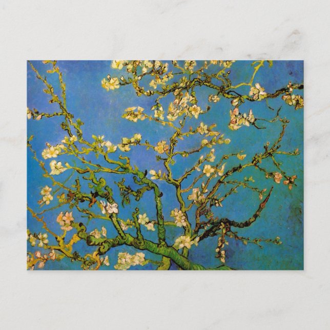 Blossoming Almond Tree by Vincent van Gogh Postcard (Front)
