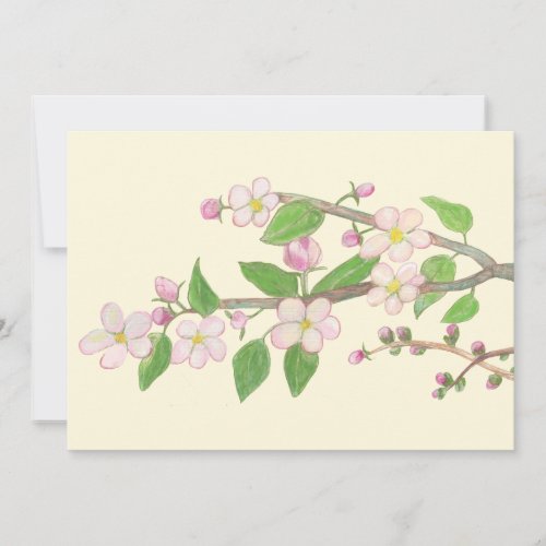 Blossoming Apple Tree Branch Illustration Holiday Card