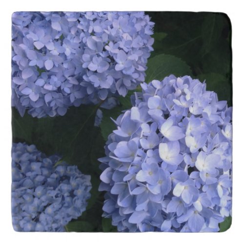 Blossoming Beauty Blue Hydrangea Trivet