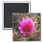 Blossoming Cactus Magnet