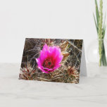 Blossoming Cactus (Prickly Pear) Wildflower Card