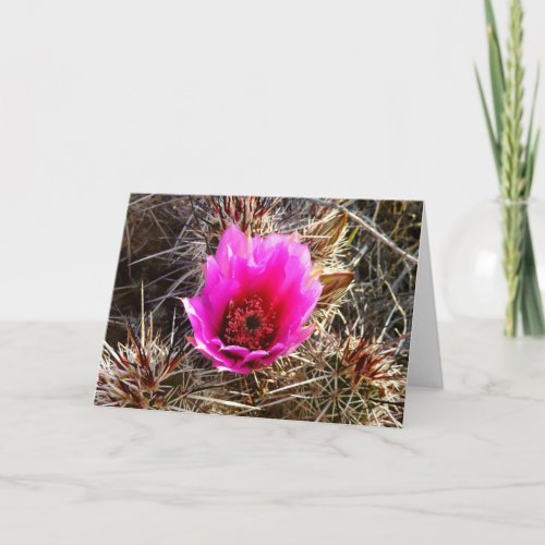 Blossoming Cactus Prickly Pear Wildflower Card