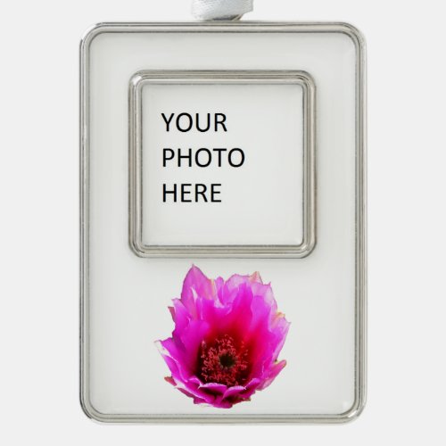 Blossoming Cactus Prickly Pear Wildflower Christmas Ornament