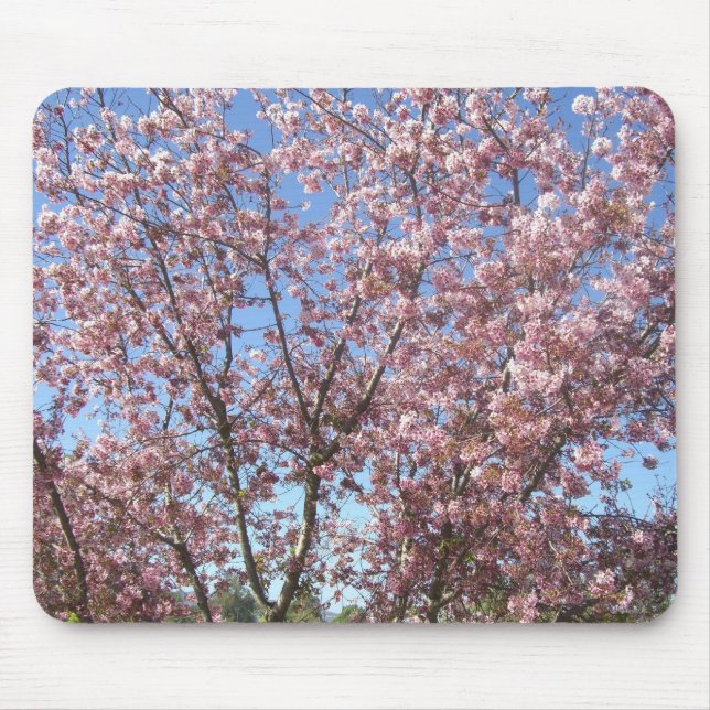 Blossoming Cherry Trees Mouse Pad (Front)