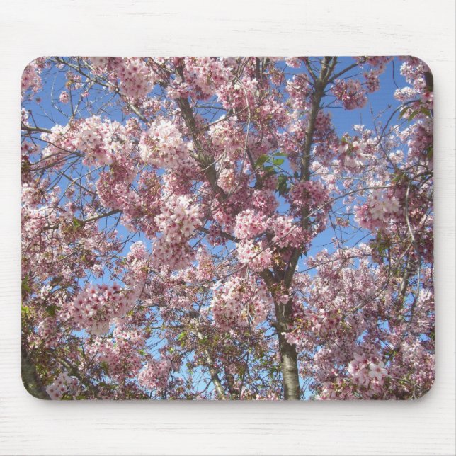 Blossoming Cherry Trees Mouse Pad (Front)