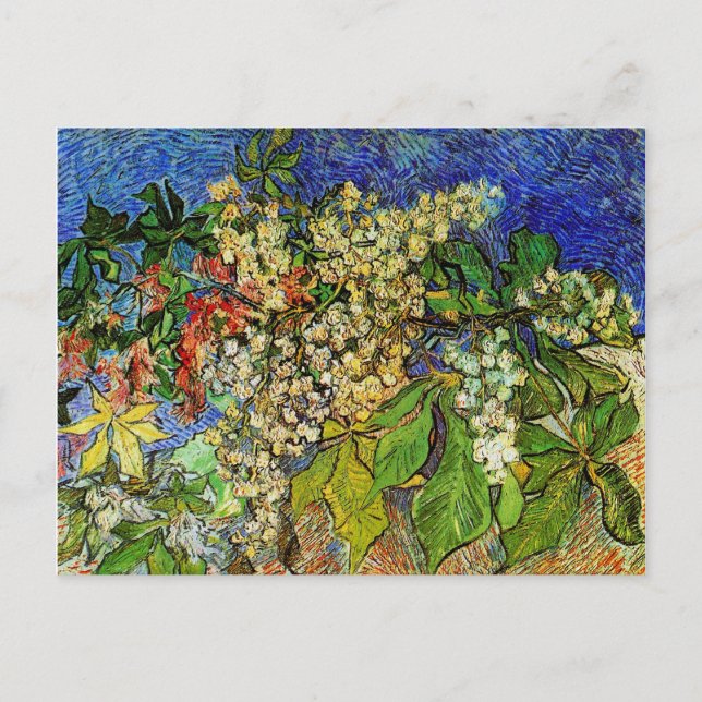 Blossoming Chestnut Branches Van Gogh Fine Art Postcard (Front)