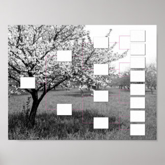 Blossoming Family Tree: 4 Generation Wall Chart