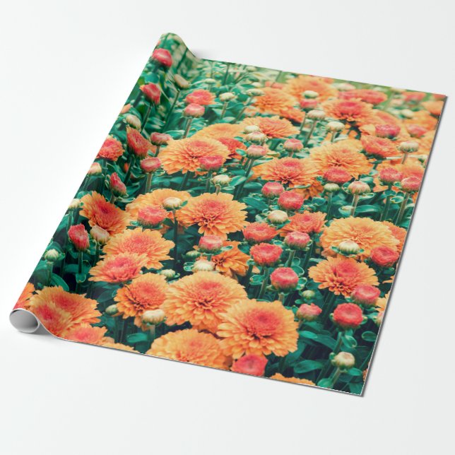 Blossoming flowers in a gardenautumn, background,  wrapping paper (Unrolled)