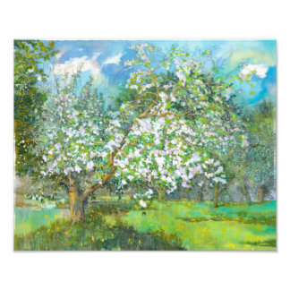 Blossoming garden photo print