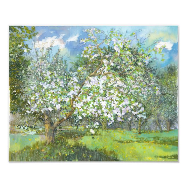 Blossoming garden photo print (Front)