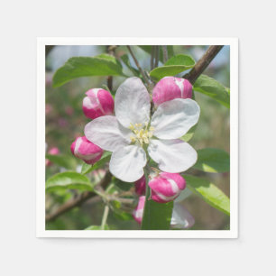 Blossoming of apple tree paper napkins