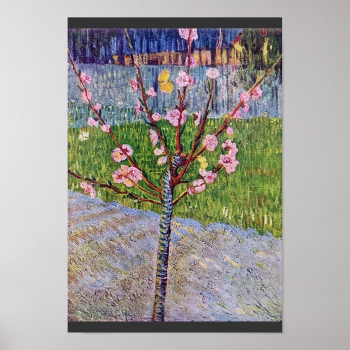 Blossoming Peach Tree By Vincent Van Gogh Posters