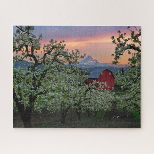 Blossoming Pear Orchard with Barn near Mount Hood Jigsaw Puzzle