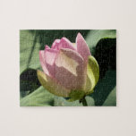 Blossoming Pink Lotus Flower Summer Jigsaw Puzzle