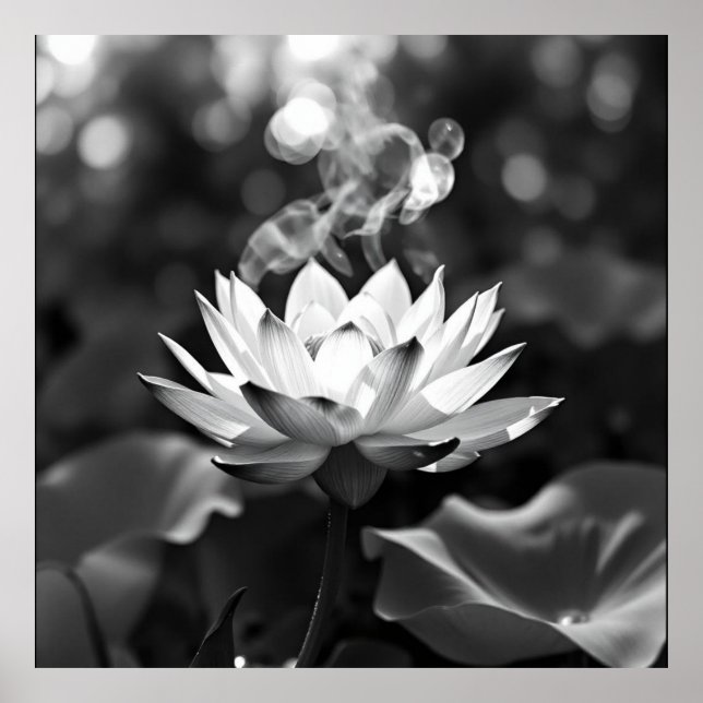 Blossoming Tranquility: Lotus Charcoal Art Poster (Front)
