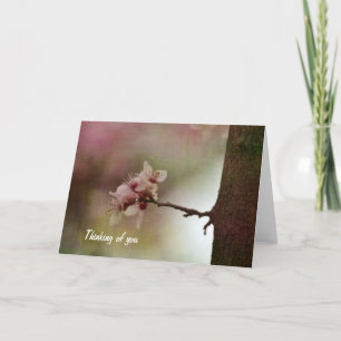 Blossoming Tree Card
